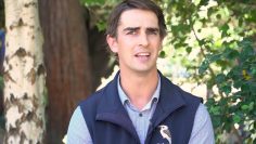 Wellbeing – What To Do If Your Child Has Some Anxiety About Coming To School