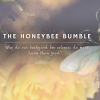 The-Honeybee-Bumble-2.png