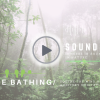 Nature-Bathing-Film-Banner.png